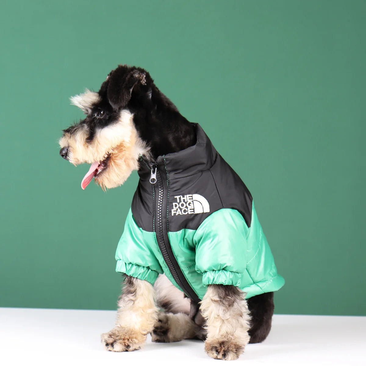 Elevate your dog's winter style with The Dog Face luxury jacket a statement piece for pet owners who demand the very best. Crafted with premium materials and an iconic two - tone design, this jacket combines warmth and water resistance - Luxempirez