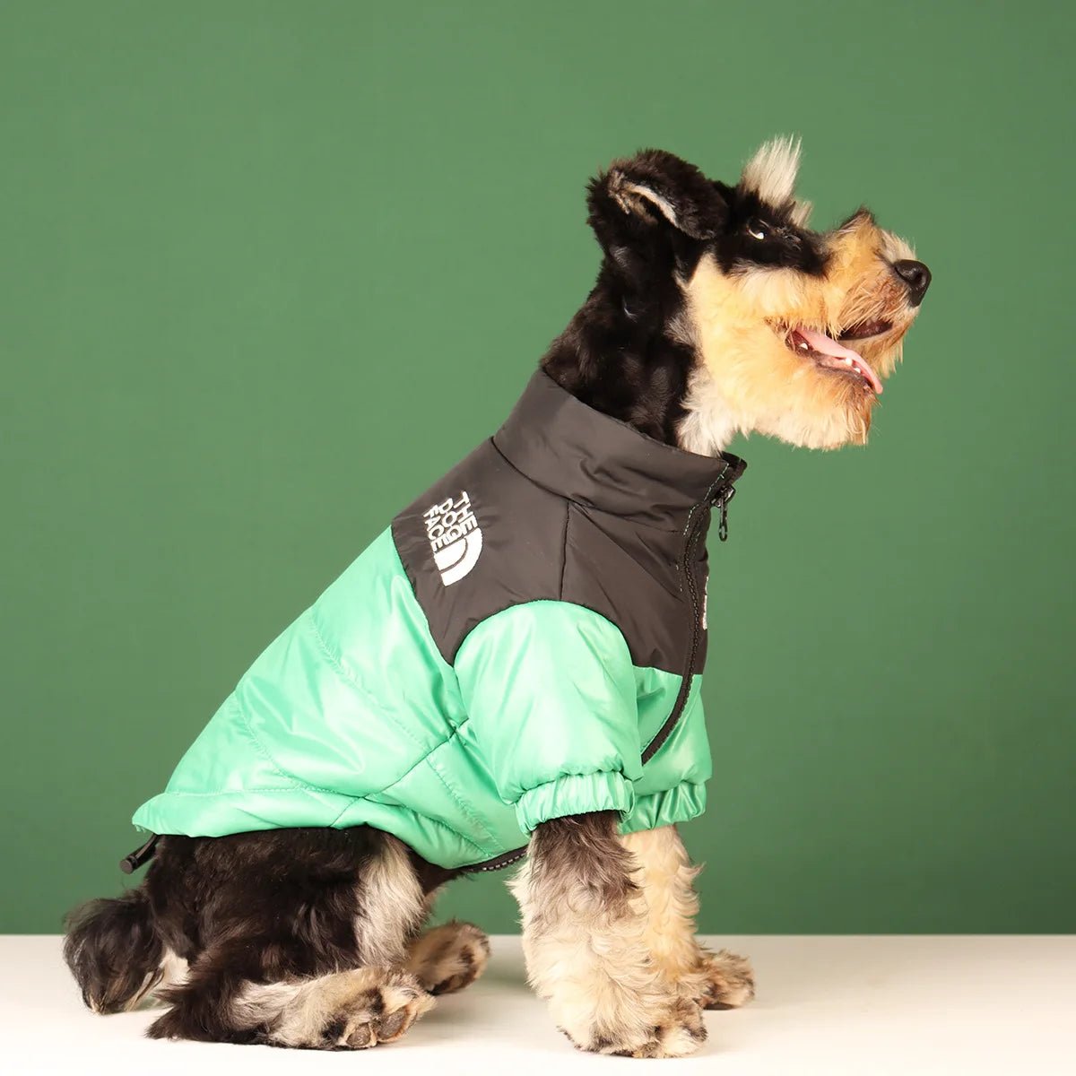 Elevate your dog's winter style with The Dog Face luxury jacket a statement piece for pet owners who demand the very best. Crafted with premium materials and an iconic two - tone design, this jacket combines warmth and water resistance - Luxempirez