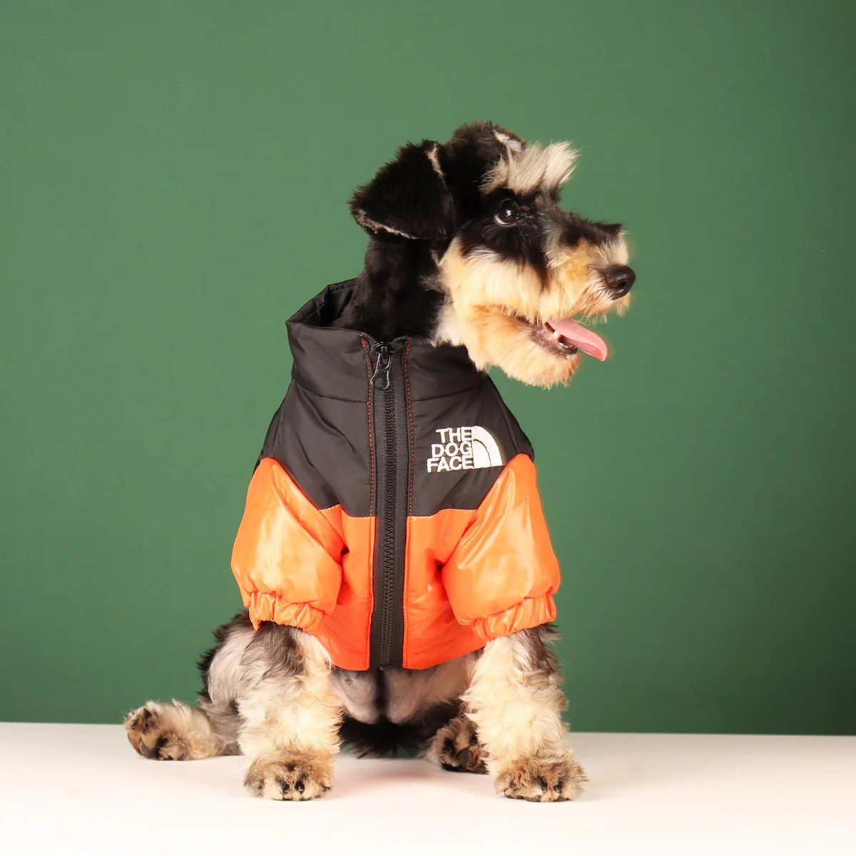 Elevate your dog's winter style with The Dog Face luxury jacket a statement piece for pet owners who demand the very best. Crafted with premium materials and an iconic two - tone design, this jacket combines warmth and water resistance - Luxempirez
