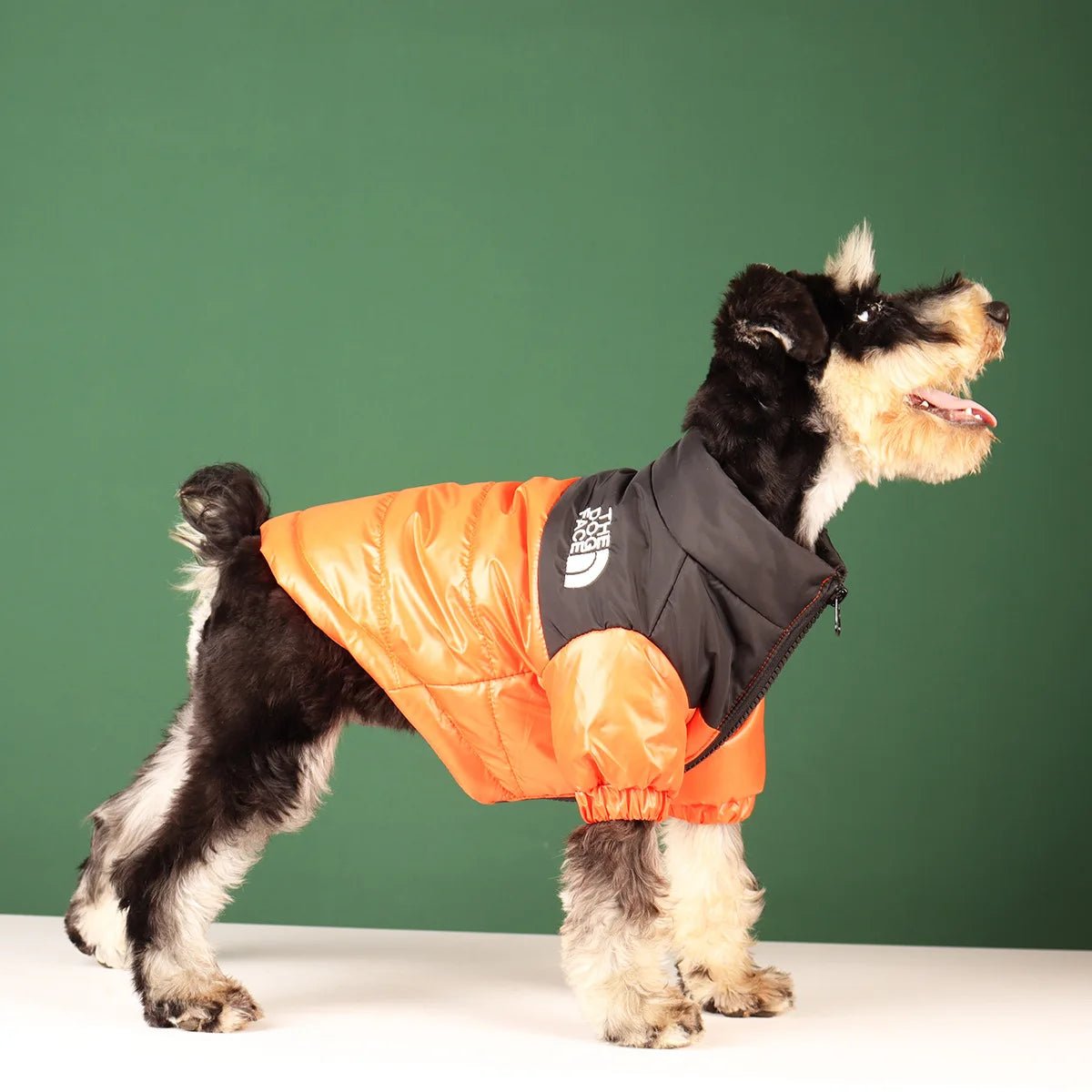 Elevate your dog's winter style with The Dog Face luxury jacket a statement piece for pet owners who demand the very best. Crafted with premium materials and an iconic two - tone design, this jacket combines warmth and water resistance - Luxempirez