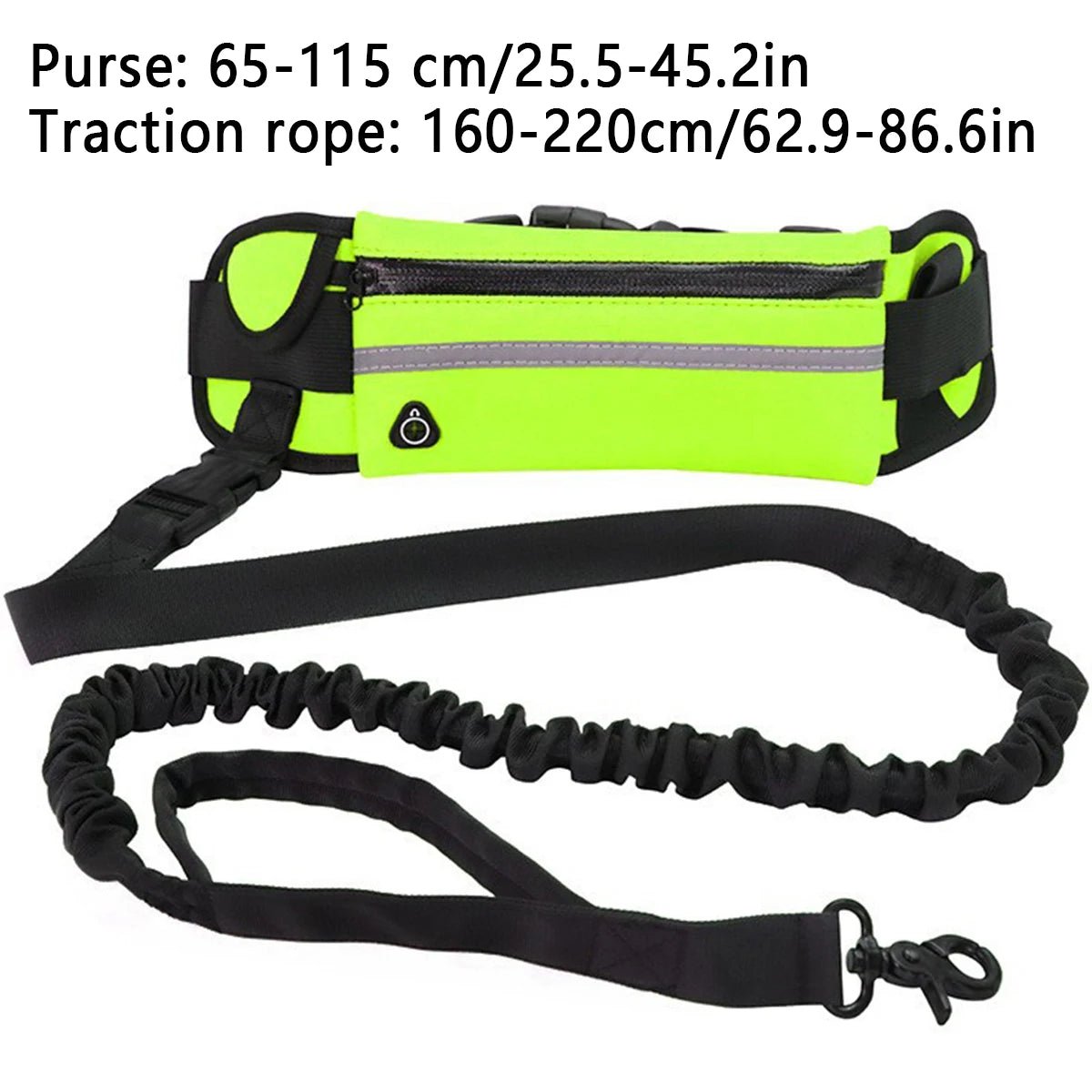 Enjoy hands‑free runs and walks with this adjustable waist leash set, featuring a durable nylon belt, shock‑absorbing bungee leash and secure metal clips. - Luxempirez