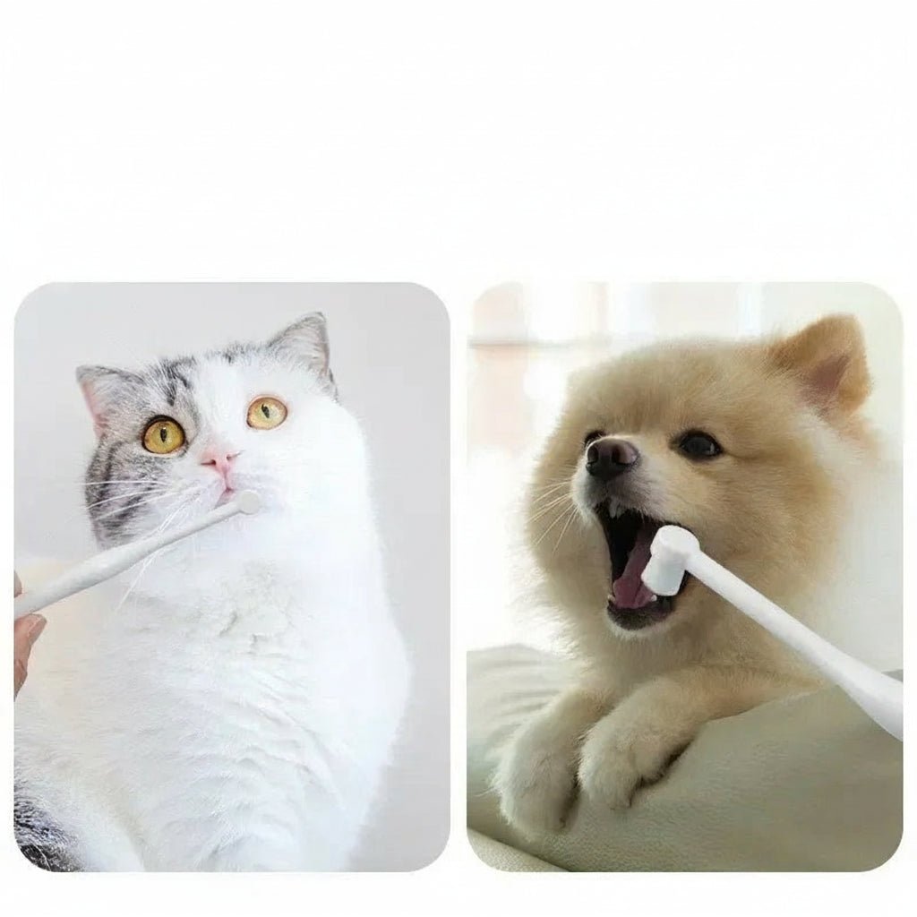 Experience a new standard of oral care with our sleek, precision - designed toothbrush, created for those who value both beauty and performance. - Luxempirez