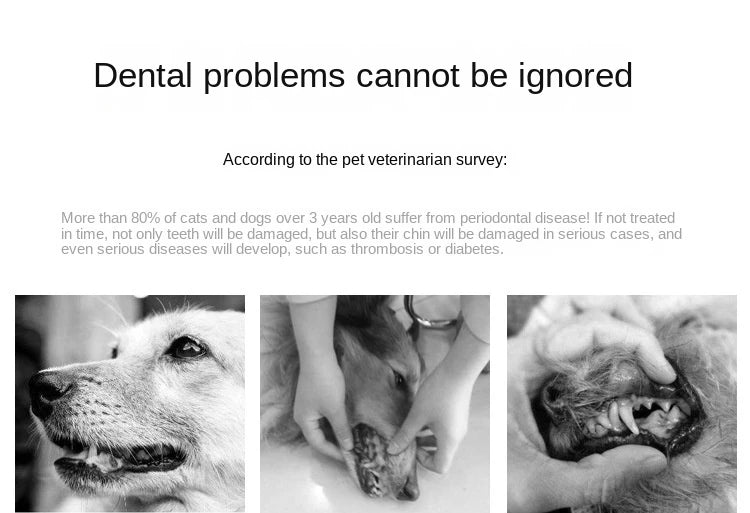 Experience a new standard of oral care with our sleek, precision - designed toothbrush, created for those who value both beauty and performance. - Luxempirez