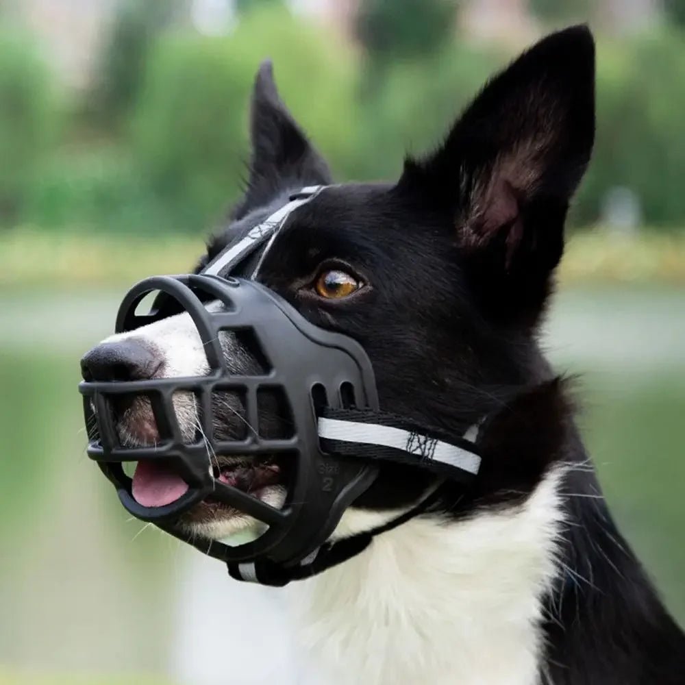Experience premium safety and refined design with our luxury dog muzzle, crafted for ultimate protection and comfort. Made from durable, high - quality materials, this elegant muzzle ensures secure fit while allowing easy breathing and comfort for your dog. - Luxempirez