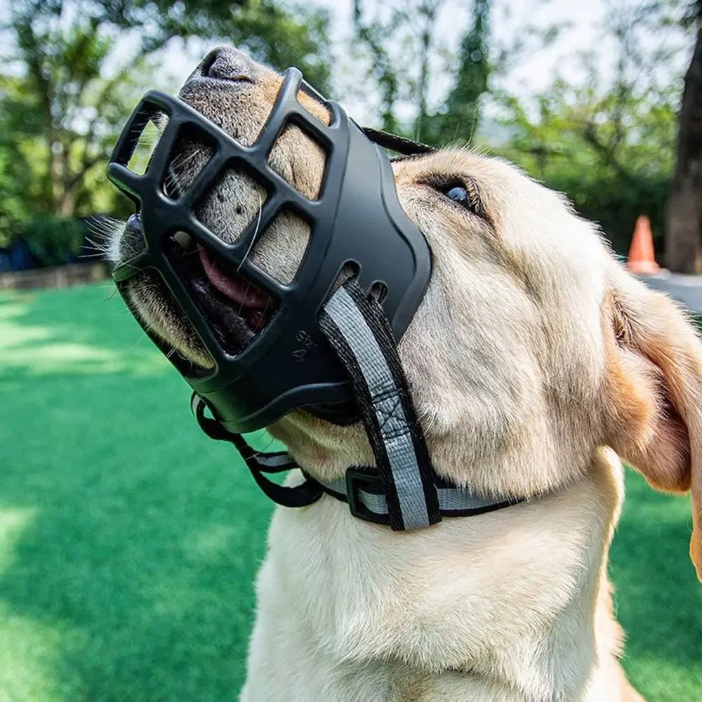 Experience premium safety and refined design with our luxury dog muzzle, crafted for ultimate protection and comfort. Made from durable, high - quality materials, this elegant muzzle ensures secure fit while allowing easy breathing and comfort for your dog. - Luxempirez