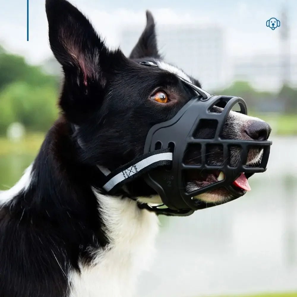 Experience premium safety and refined design with our luxury dog muzzle, crafted for ultimate protection and comfort. Made from durable, high - quality materials, this elegant muzzle ensures secure fit while allowing easy breathing and comfort for your dog. - Luxempirez