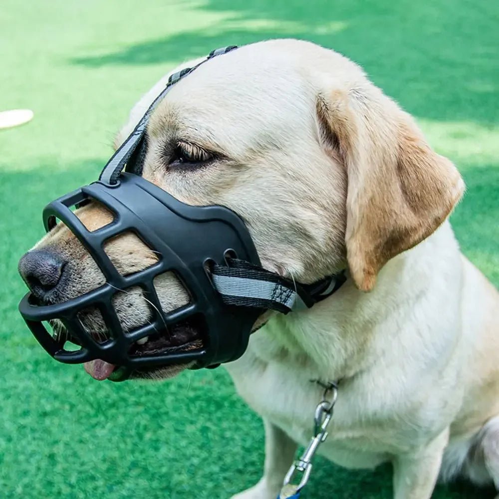 Experience premium safety and refined design with our luxury dog muzzle, crafted for ultimate protection and comfort. Made from durable, high - quality materials, this elegant muzzle ensures secure fit while allowing easy breathing and comfort for your dog. - Luxempirez