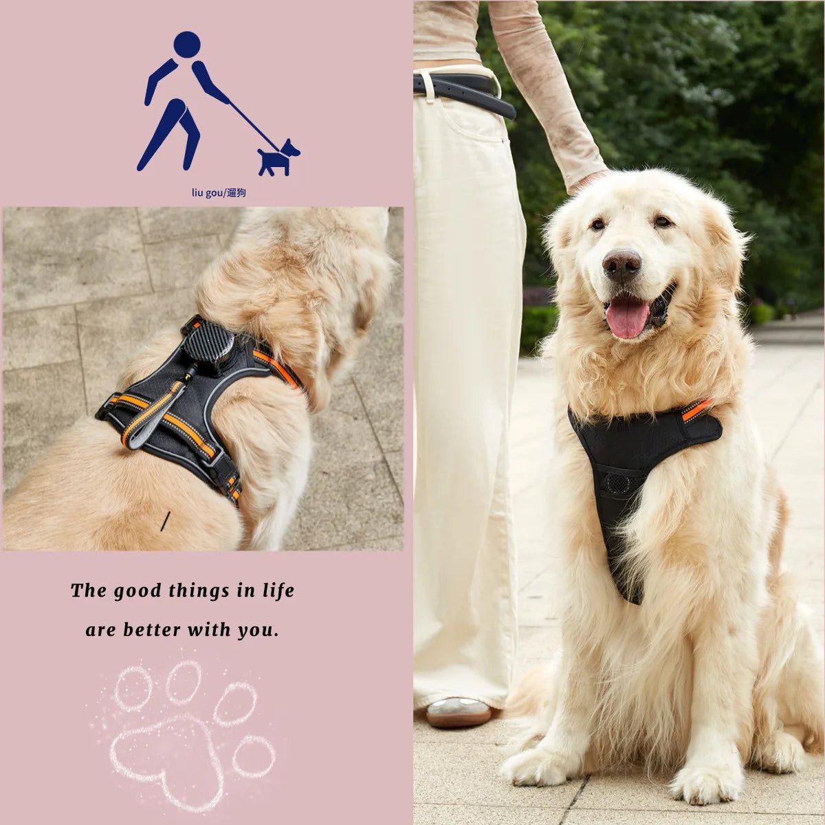 Explosion‑proof no‑pull harness with integrated retractable leash for safe, hands‑free control and maximum comfort during every walk or run. - Luxempirez