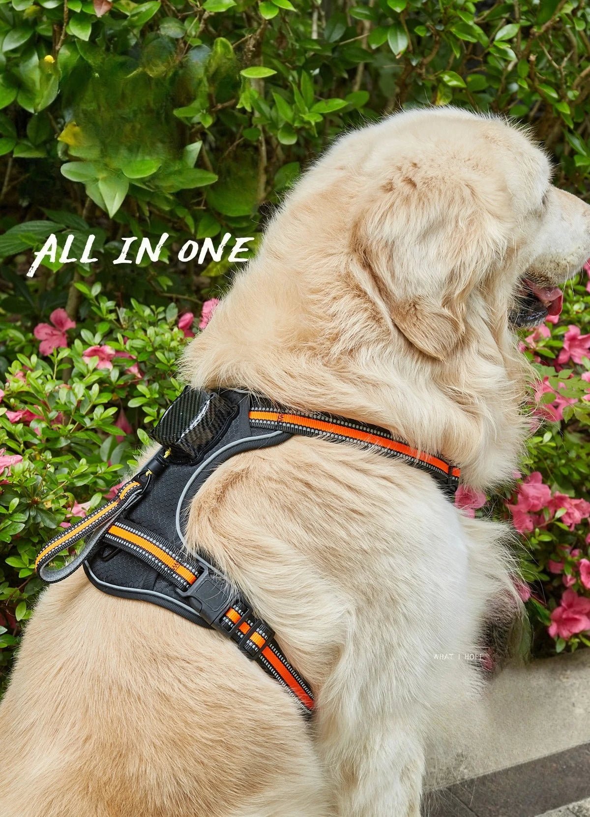 Explosion‑proof no‑pull harness with integrated retractable leash for safe, hands‑free control and maximum comfort during every walk or run. - Luxempirez