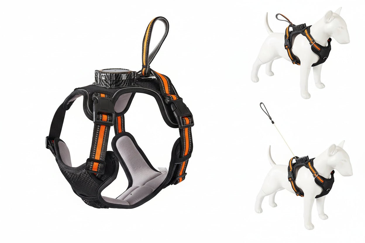 Explosion‑proof no‑pull harness with integrated retractable leash for safe, hands‑free control and maximum comfort during every walk or run. - Luxempirez