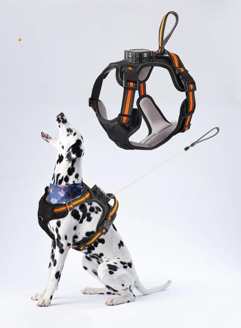 Explosion‑proof no‑pull harness with integrated retractable leash for safe, hands‑free control and maximum comfort during every walk or run. - Luxempirez