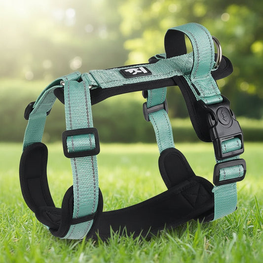 Feather - light, cloud - soft and elegantly designed, this harness wraps your dog in everyday luxury while keeping them fully secure and free to move. - Luxempirez