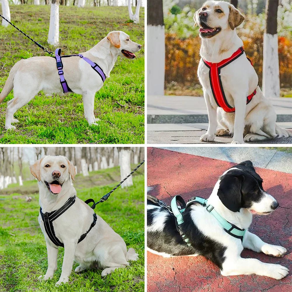 Feather - light, cloud - soft and elegantly designed, this harness wraps your dog in everyday luxury while keeping them fully secure and free to move. - Luxempirez