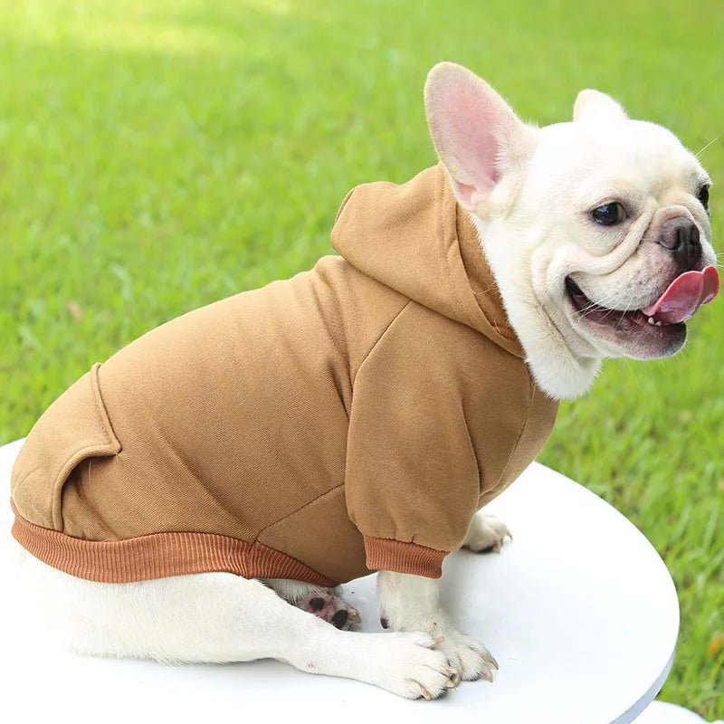 Give your dog a wardrobe essential with this ultra‑soft luxury hoodie, designed for everyday comfort and effortless style. The plush fabric and cozy hood keep your pup warm on cooler days. - Luxempirez