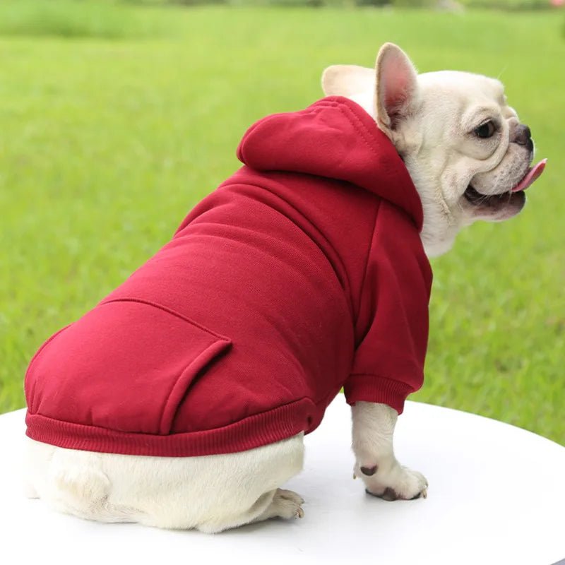 Give your dog a wardrobe essential with this ultra‑soft luxury hoodie, designed for everyday comfort and effortless style. The plush fabric and cozy hood keep your pup warm on cooler days. - Luxempirez