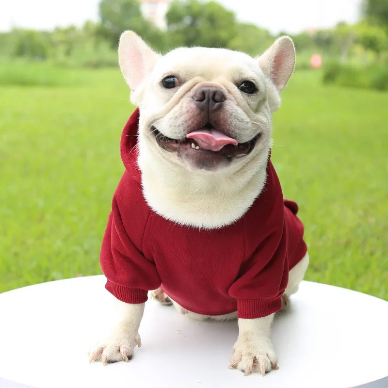 Give your dog a wardrobe essential with this ultra‑soft luxury hoodie, designed for everyday comfort and effortless style. The plush fabric and cozy hood keep your pup warm on cooler days. - Luxempirez
