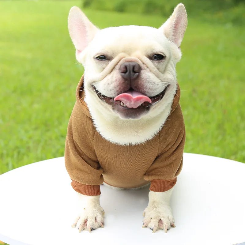 Give your dog a wardrobe essential with this ultra‑soft luxury hoodie, designed for everyday comfort and effortless style. The plush fabric and cozy hood keep your pup warm on cooler days. - Luxempirez