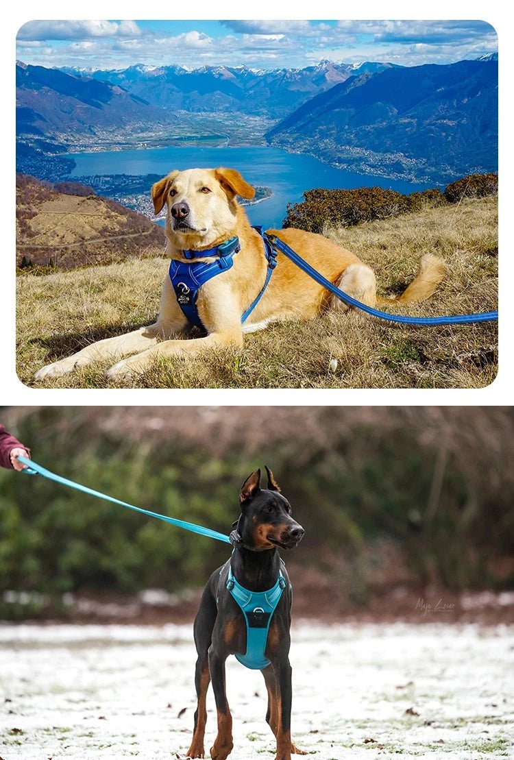 Give your dog the comfort and safety they deserve with the Truelove premium harness! Its ergonomic design relieves neck pressure and guarantees a perfect fit for every walk. Made from durable, breathable materials. - Luxempirez