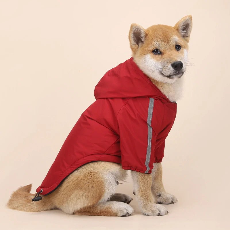 Give your dog the gift of comfort and style with our luxury waterproof dog jacket. Expertly crafted to blend elegance and performance, this premium piece features a sleek, weather - resistant finish and a cozy hood for ultimate protection. - Luxempirez