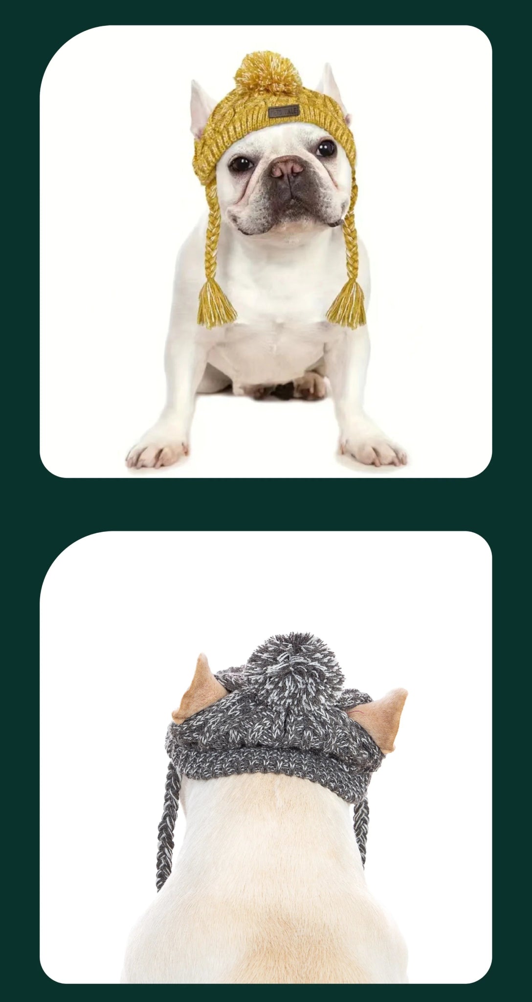 Give your dog the gift of luxury and warmth with our premium winter hat. Crafted with soft, high - quality yarn and elegant details, it keeps your pet stylish and cozy on every walk. Perfect for fashion - forward pups! - Luxempirez