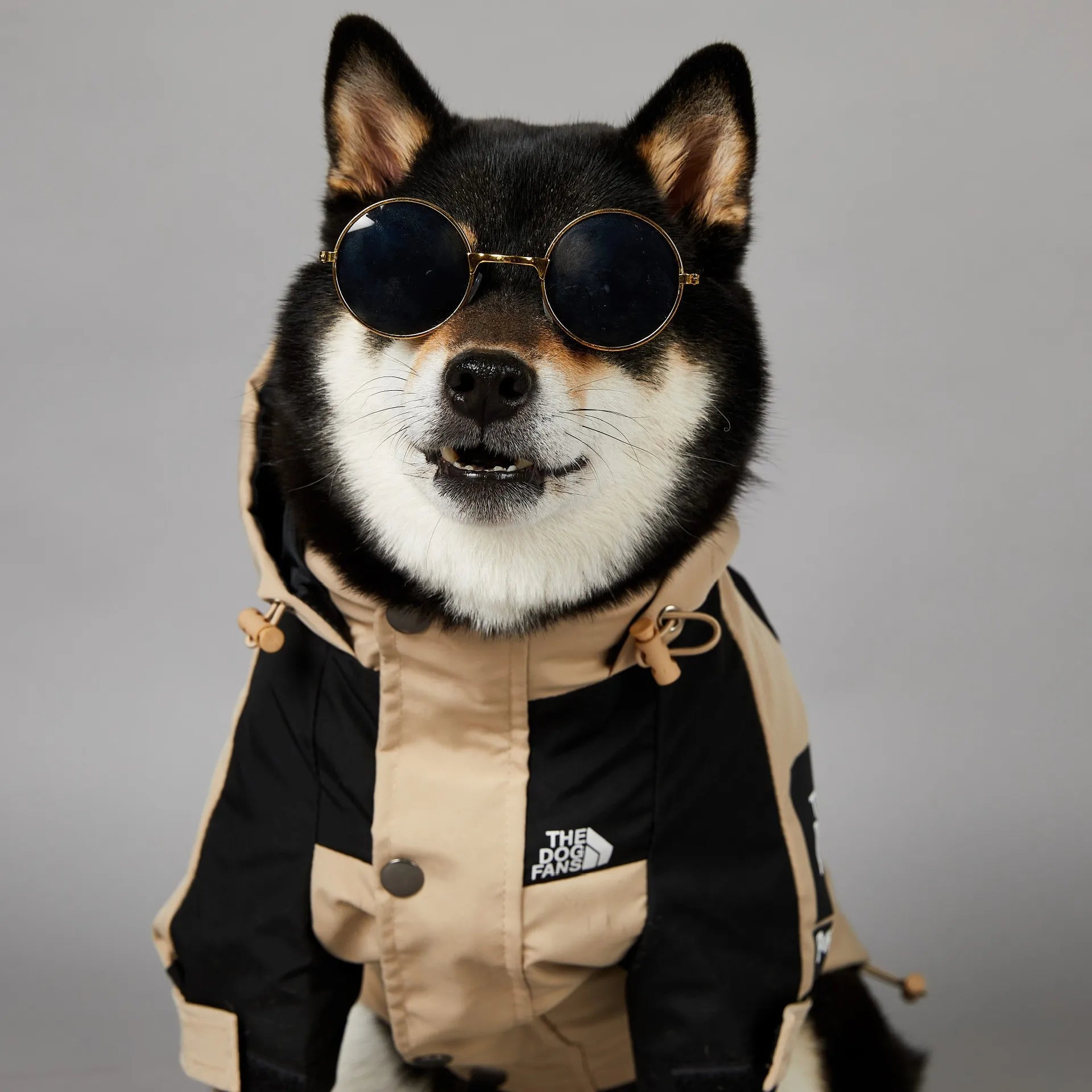 Give your dog unmatched comfort this winter with our premium waterproof jacket. Designed to protect against cold, wind, and rain while offering full mobility and style. - Luxempirez