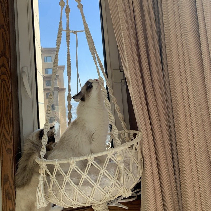 Give your feline a sanctuary in the sky with this hand‑woven luxury cat hammock, designed to float elegantly in your home like a piece of boho décor. The soft, suspended nest cradles your cat in complete comfort, while the exquisite macramé detailing. - Luxempirez