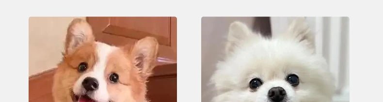 Give your pet safe, easy access to the sofa or bed with these soft foam stairs. The gentle, anti - slip steps protect joints and are perfect for puppies, small dogs, senior pets, or those with mobility issues. - Luxempirez