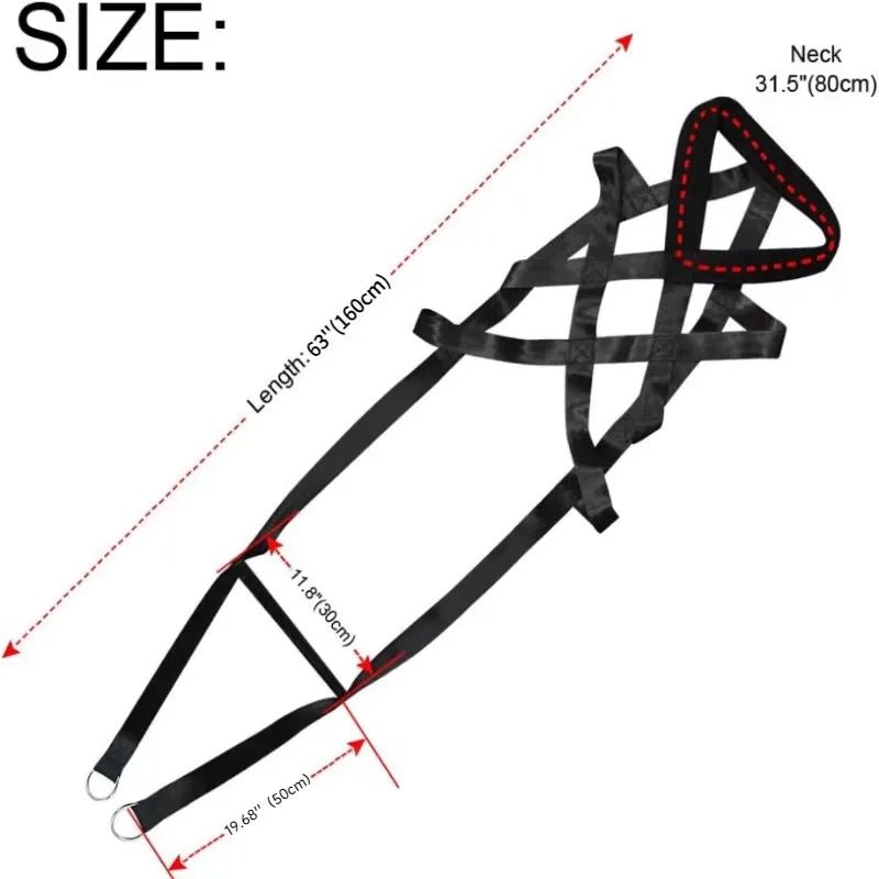 Laisse d'entraînement à la traction robuste avec ceinture de sécurité de traîneau conçue pour les grands chiens de travail et à haute énergie qui aiment tirer et travailler avec un harnais. - Luxempirez