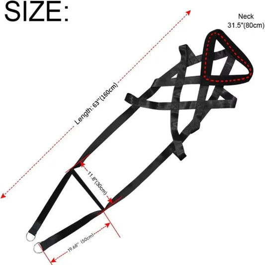 Laisse d'entraînement à la traction robuste avec ceinture de sécurité de traîneau conçue pour les grands chiens de travail et à haute énergie qui aiment tirer et travailler avec un harnais. - Luxempirez