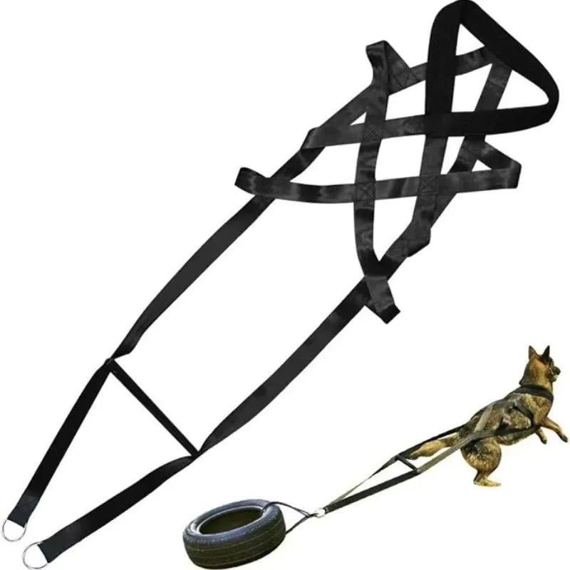 Laisse d'entraînement à la traction robuste avec ceinture de sécurité de traîneau conçue pour les grands chiens de travail et à haute énergie qui aiment tirer et travailler avec un harnais. - Luxempirez