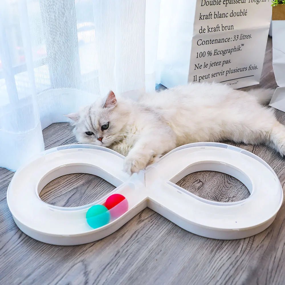 Keep your cat active and entertained with this sleek infinity - track toy, featuring colorful rolling balls that stimulate natural hunting instincts. A stylish, space - saving design that turns playtime into pure feline joy. - Luxempirez