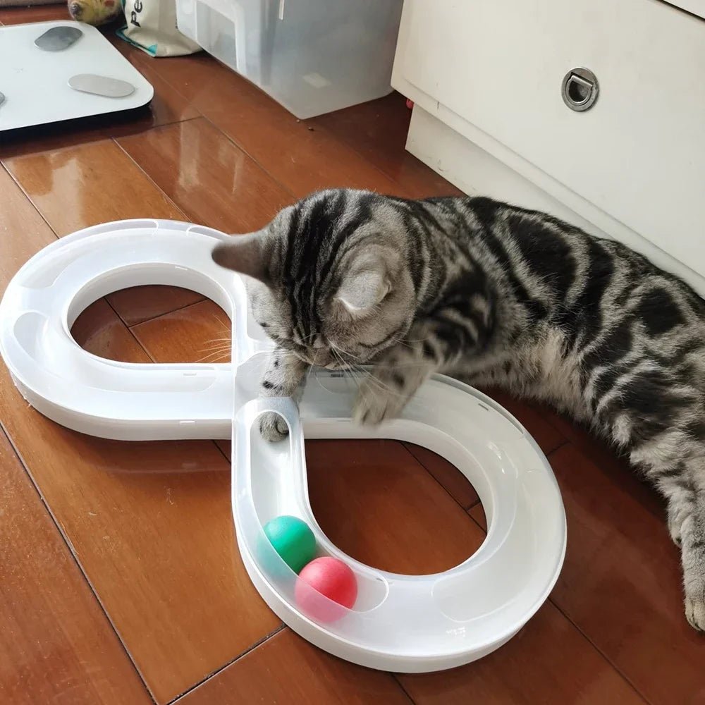 Keep your cat active and entertained with this sleek infinity - track toy, featuring colorful rolling balls that stimulate natural hunting instincts. A stylish, space - saving design that turns playtime into pure feline joy. - Luxempirez