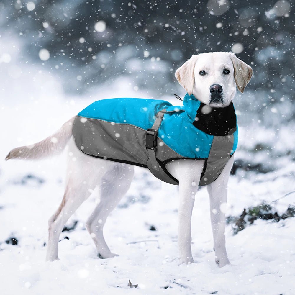 Keep your dog warm and protected with this premium winter dog coat, ideal for cold and snowy days. Made from waterproof, windproof materials, it features a comfortable fleece lining and adjustable straps for a secure fit. Available in multiple colors. - Luxempirez
