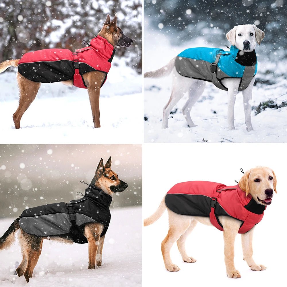 Keep your dog warm and protected with this premium winter dog coat, ideal for cold and snowy days. Made from waterproof, windproof materials, it features a comfortable fleece lining and adjustable straps for a secure fit. Available in multiple colors. - Luxempirez