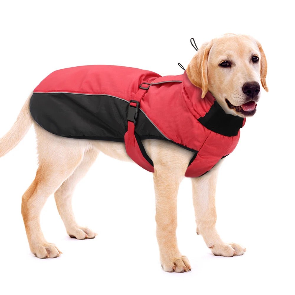 Keep your dog warm and protected with this premium winter dog coat, ideal for cold and snowy days. Made from waterproof, windproof materials, it features a comfortable fleece lining and adjustable straps for a secure fit. Available in multiple colors. - Luxempirez