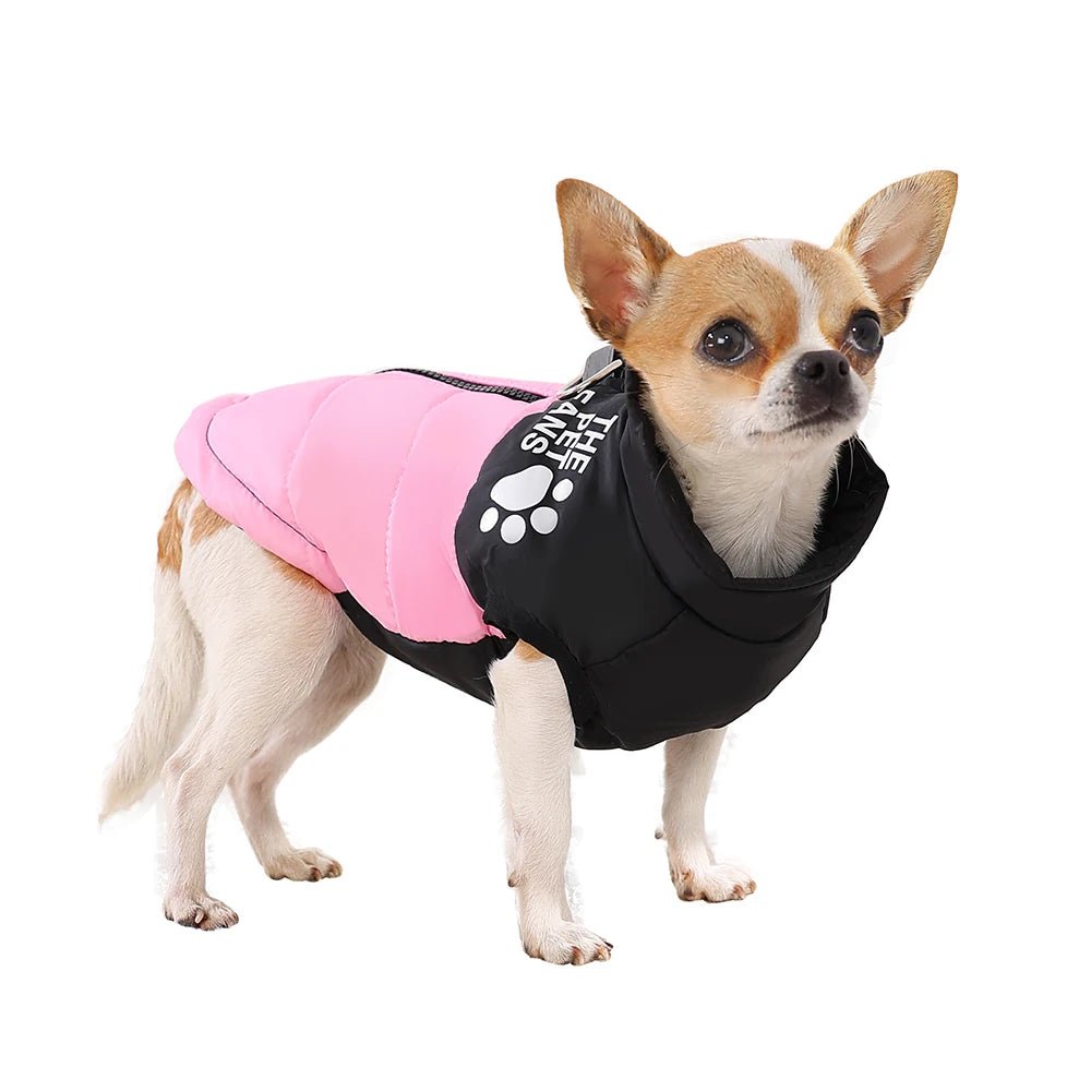 Keep your small dog cozy, stylish, and visible this winter with the Holapet Warm Reflective Dog Coat in medium size. Perfect for Chihuahuas, Pugs, and similar breeds, this jacket combines fun autumn prints with safety features for worry - free walks. - Luxempirez