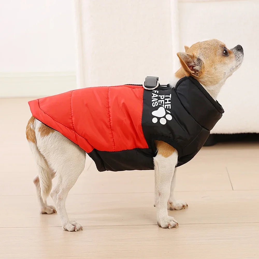 Keep your small dog cozy, stylish, and visible this winter with the Holapet Warm Reflective Dog Coat in medium size. Perfect for Chihuahuas, Pugs, and similar breeds, this jacket combines fun autumn prints with safety features for worry - free walks. - Luxempirez