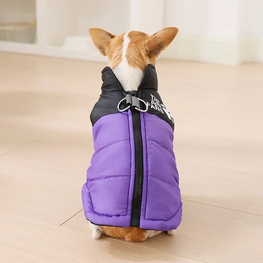Keep your small dog cozy, stylish, and visible this winter with the Holapet Warm Reflective Dog Coat in medium size. Perfect for Chihuahuas, Pugs, and similar breeds, this jacket combines fun autumn prints with safety features for worry - free walks. - Luxempirez