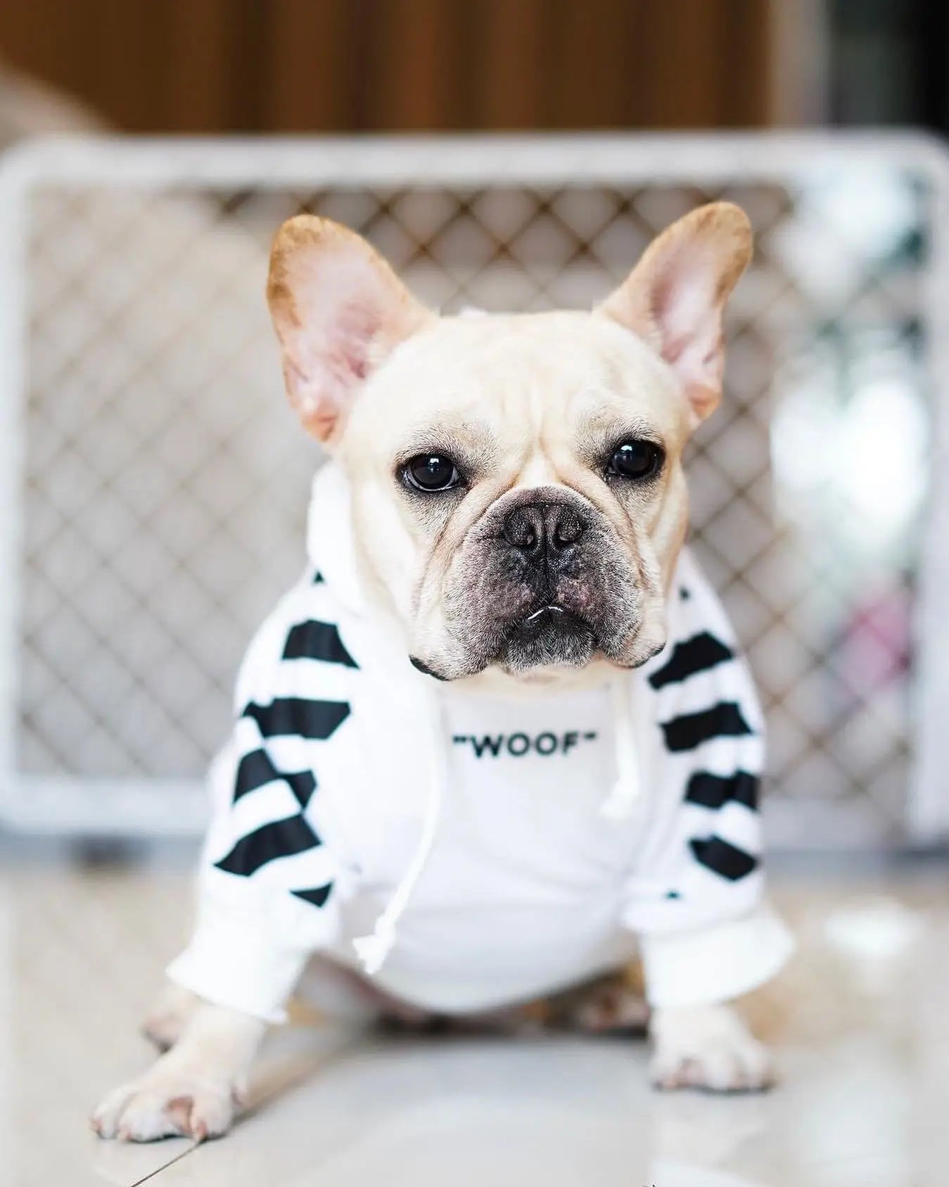 Let your dog make a statement in this luxurious black hoodie, adorned with intricate floral motifs and bold design accents front and back. The high - quality fabric ensures lasting comfort and warmth, while the unique aesthetic featuring "WOOF". - Luxempirez