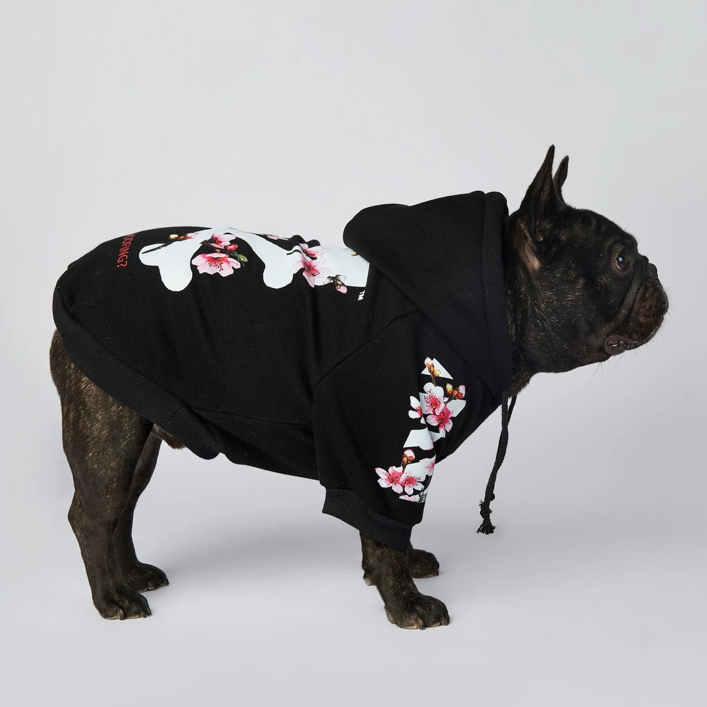 Let your dog make a statement in this luxurious black hoodie, adorned with intricate floral motifs and bold design accents front and back. The high - quality fabric ensures lasting comfort and warmth, while the unique aesthetic featuring "WOOF". - Luxempirez