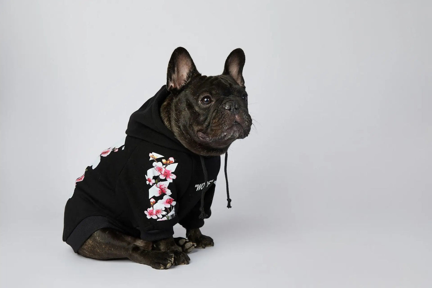 Let your dog make a statement in this luxurious black hoodie, adorned with intricate floral motifs and bold design accents front and back. The high - quality fabric ensures lasting comfort and warmth, while the unique aesthetic featuring "WOOF". - Luxempirez