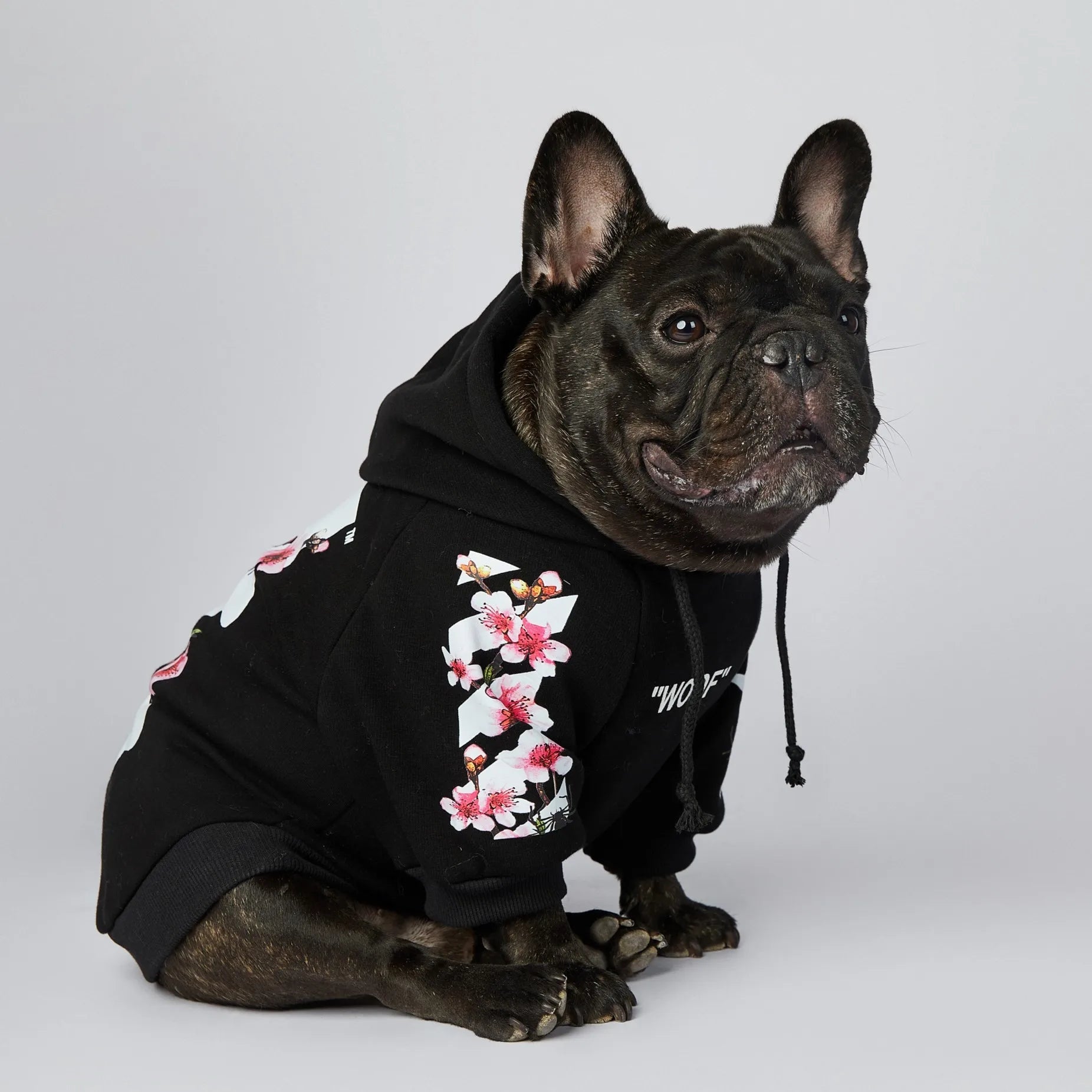 Let your dog make a statement in this luxurious black hoodie, adorned with intricate floral motifs and bold design accents front and back. The high - quality fabric ensures lasting comfort and warmth, while the unique aesthetic featuring "WOOF". - Luxempirez