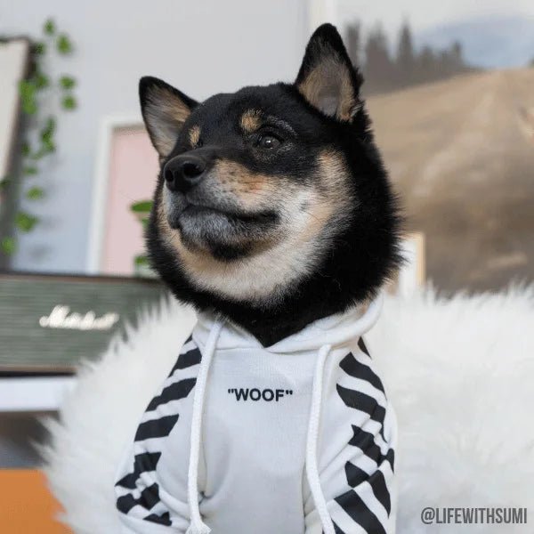 Let your dog make a statement in this luxurious black hoodie, adorned with intricate floral motifs and bold design accents front and back. The high - quality fabric ensures lasting comfort and warmth, while the unique aesthetic featuring "WOOF". - Luxempirez
