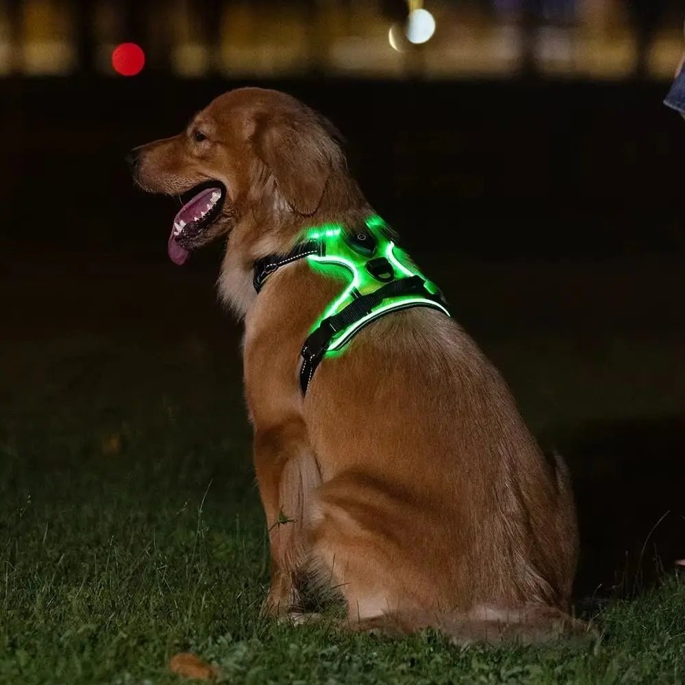 Light - up LED dog harnesses are perfect to sell as a safety and style accessory for night walks, because they keep dogs highly visible while staying comfortable and rechargeable for daily use. - Luxempirez