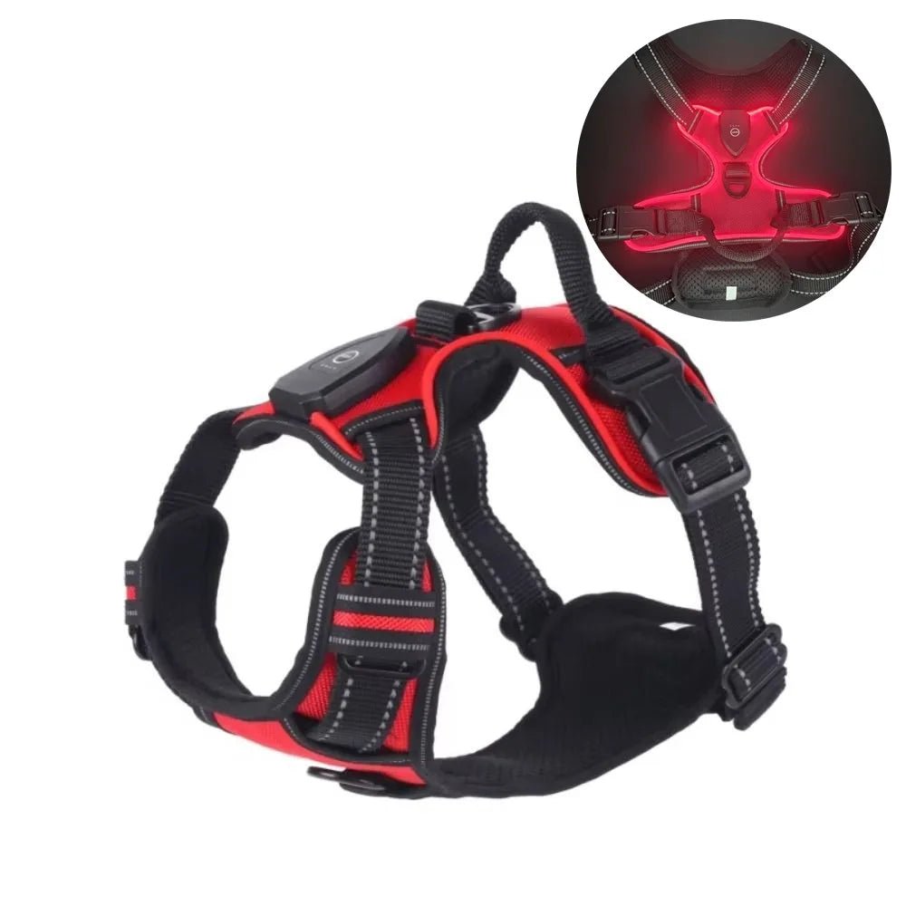 Light - up LED dog harnesses are perfect to sell as a safety and style accessory for night walks, because they keep dogs highly visible while staying comfortable and rechargeable for daily use. - Luxempirez