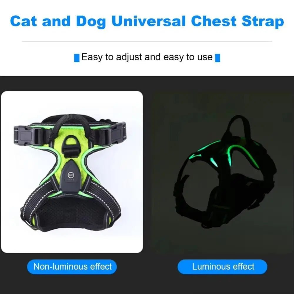 Light - up LED dog harnesses are perfect to sell as a safety and style accessory for night walks, because they keep dogs highly visible while staying comfortable and rechargeable for daily use. - Luxempirez