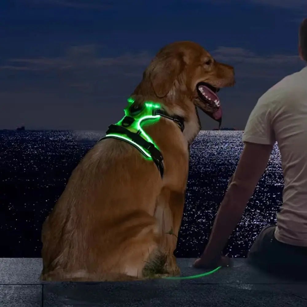 Light - up LED dog harnesses are perfect to sell as a safety and style accessory for night walks, because they keep dogs highly visible while staying comfortable and rechargeable for daily use. - Luxempirez