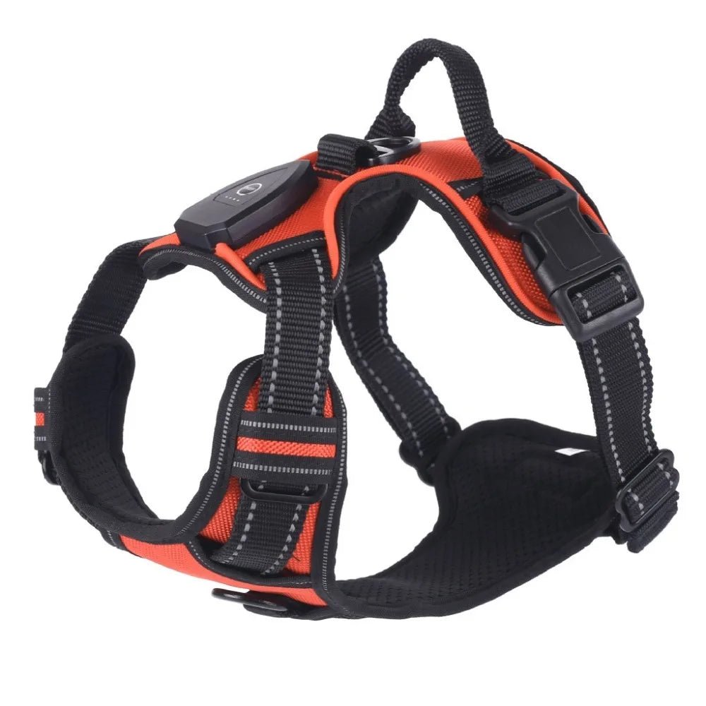 Light - up LED dog harnesses are perfect to sell as a safety and style accessory for night walks, because they keep dogs highly visible while staying comfortable and rechargeable for daily use. - Luxempirez