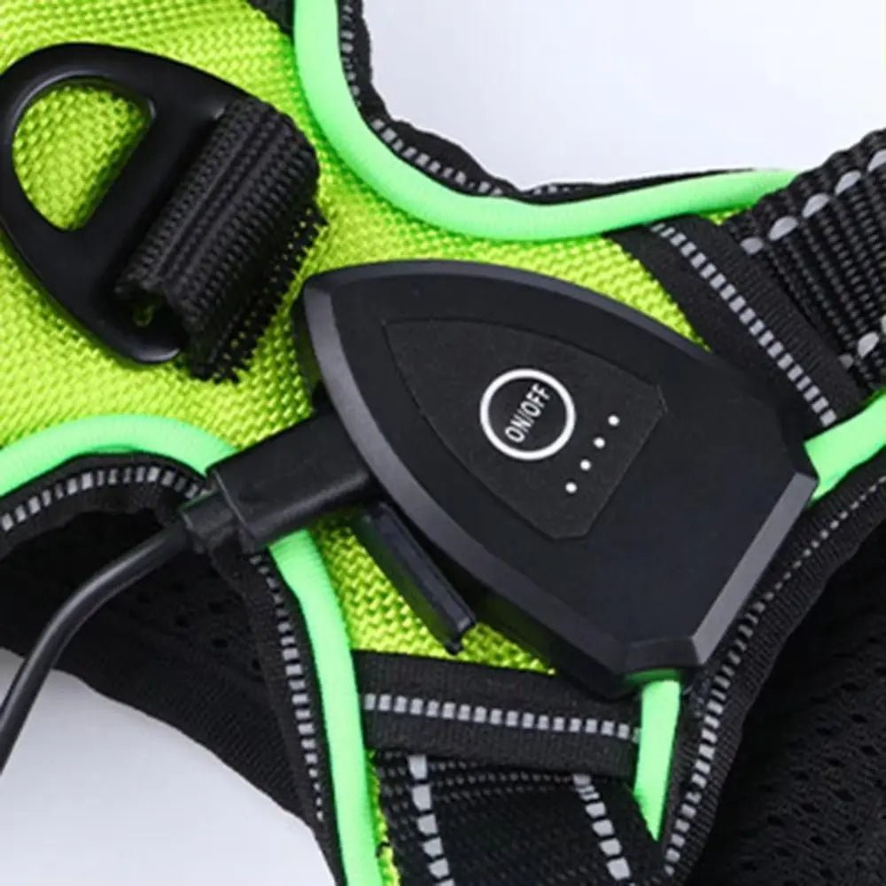 Light - up LED dog harnesses are perfect to sell as a safety and style accessory for night walks, because they keep dogs highly visible while staying comfortable and rechargeable for daily use. - Luxempirez