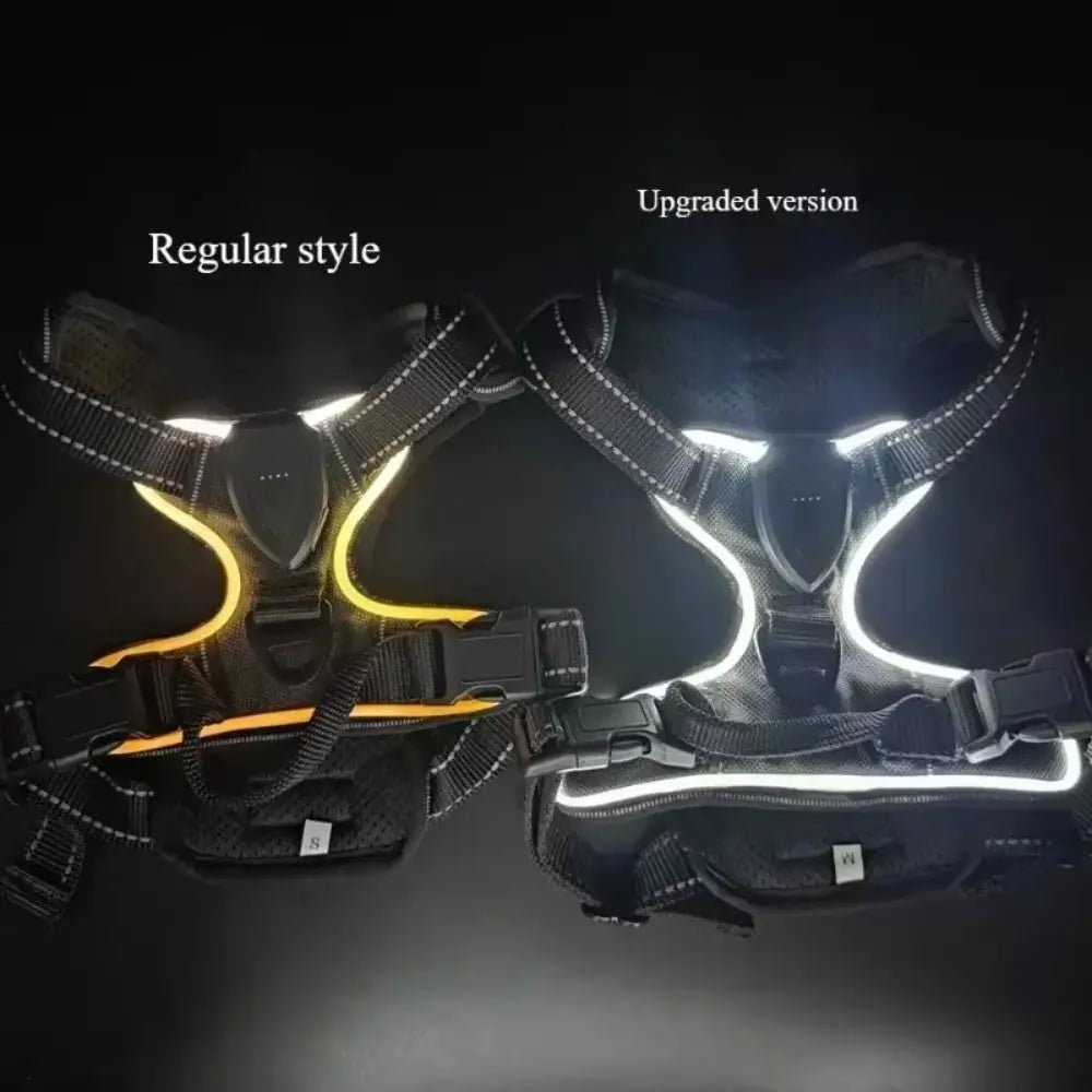 Light - up LED dog harnesses are perfect to sell as a safety and style accessory for night walks, because they keep dogs highly visible while staying comfortable and rechargeable for daily use. - Luxempirez